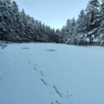 Reportage sul Monte Carpegna
