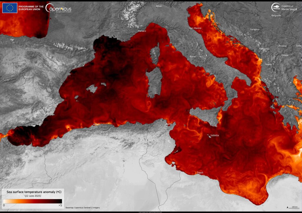 Il Mar Mediterraneo è “rovente”